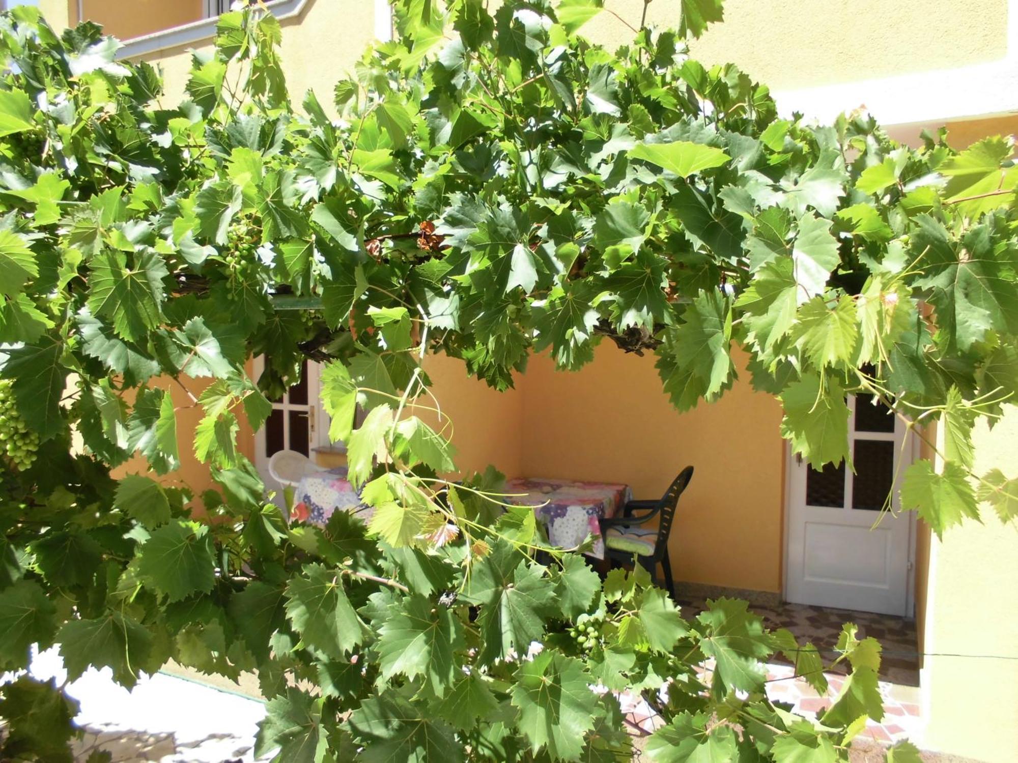 San Marino Apartman Lopar